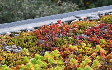 the cost of Blubberhouses green roof installation