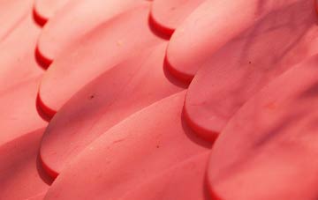 Blubberhouses plastic roof costs