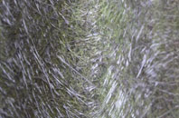 Blubberhouses fibreglass roof work